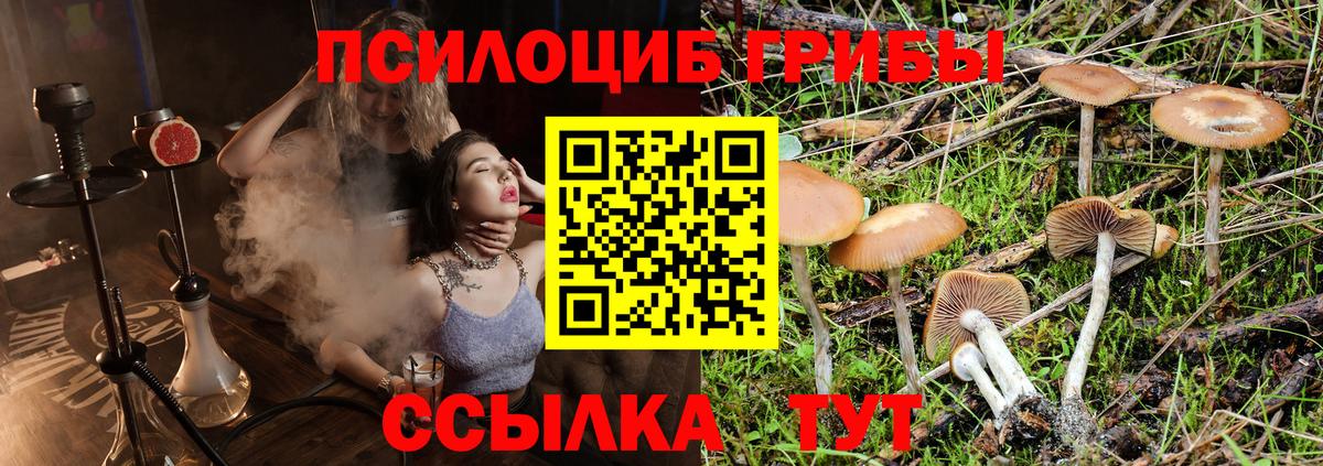 Галлюциногенные грибы MAGIC MUSHROOMS Нефтекамск