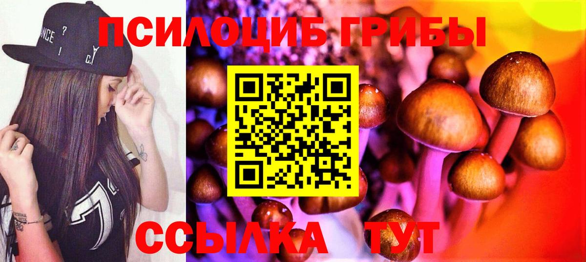Нефтекамск  даркнет сайт  Вход с VPN  Псилоцибиновые грибы MAGIC MUSHROOMS 